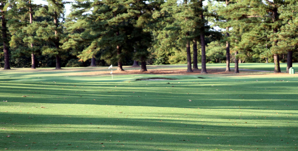 Image: Green, lush fairway