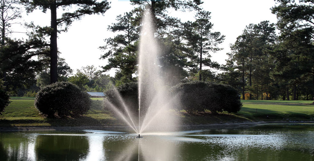 Image: Beautiful water fountain in lake
