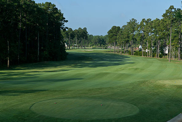 Image: Long fairway at International Golf Club