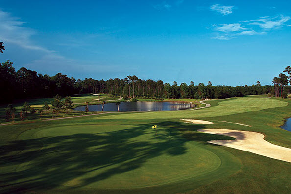 Image: Fairway at International Golf Club