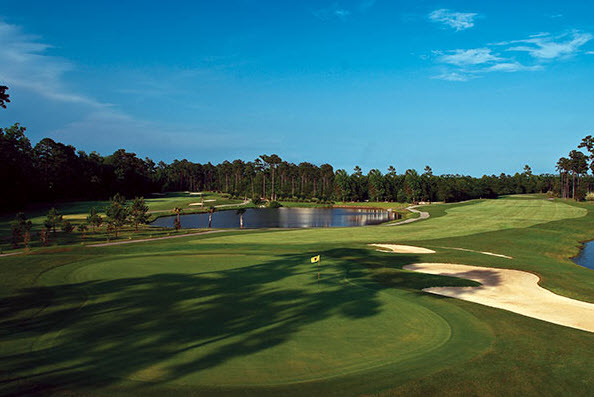 Image: Fairway at International Golf Club