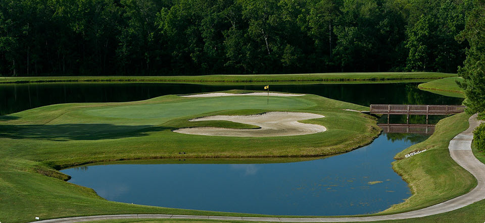 Image: Island hole International Golf Club