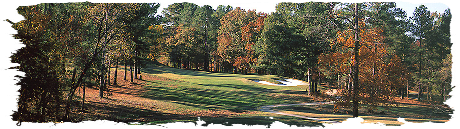 Image: Looking from fairway to green with bunker on right