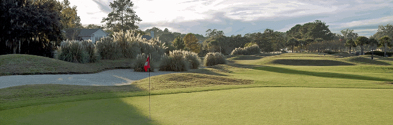 Image: At the flag looking back at sand traps, grasses and fairway
