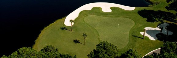 Image: Aerial photo of green with palm trees and sand