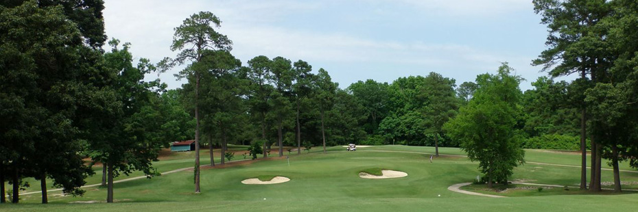 Image: A small green guarded by two sand traps