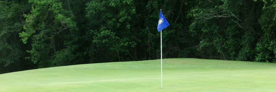 Blue flag on green