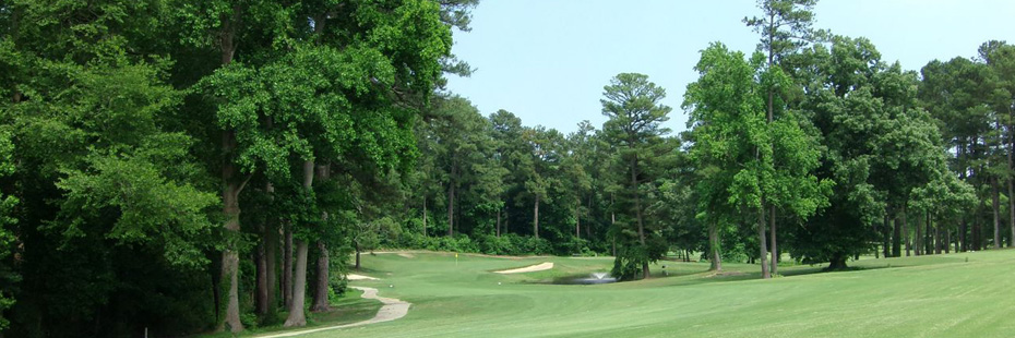 Fairway guarded by trees