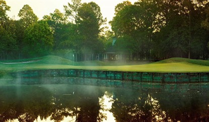Image: Pametto Hall Plantation water hole