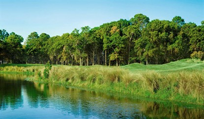 Image: Palmetto Hall Plantation fairways along the water