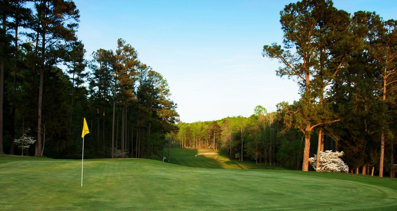 Image: Green at Siler City Country Club