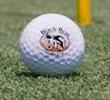Image: Golf ball on green with Black Bear Golf Club logo