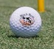 Image: Golf ball on green with Black Bear Golf Club logo Image: Golf ball on green with Black Bear Golf Club logo