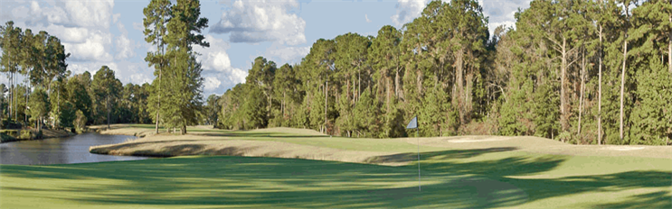 Image: From the green looking back at fairway and a water hazzard on the left