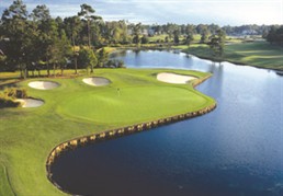 Image: Rees Jones Course